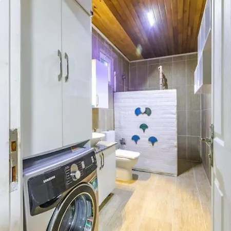 Denize Manzarali Oezel Havuzlu Ev Gameover Villa
