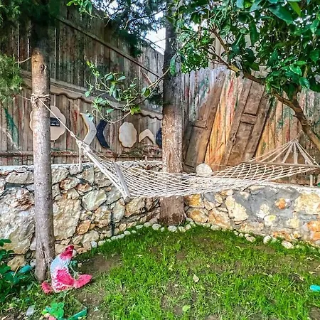 Denize Manzarali Oezel Havuzlu Ev Gameover カシュ